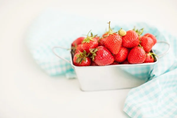 Gardening background — Stock Photo, Image