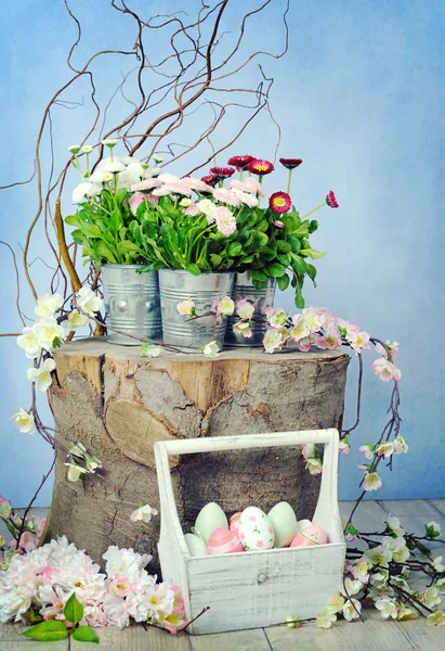 Spring still life — Stock Photo, Image