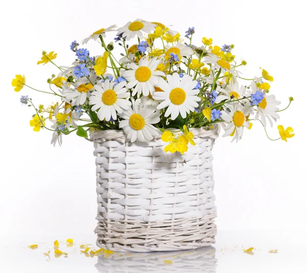 Korb mit Frühlingsblumen — Stockfoto