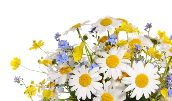 Spring flowers bouquet — Stock Photo, Image