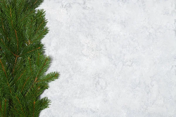 Fir Branches Grey Background — Stock Photo, Image