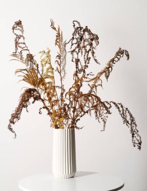 Beyaz arkaplanda kurumuş eğreltiotu yapraklı vazo