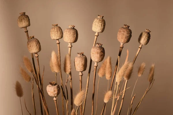 Arrangement Des Plantes Séchées Dans Des Tons Bruns — Photo