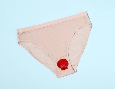 Adet görmenin kavramsal görüntüsü, kırmızı kabuklu külotlar