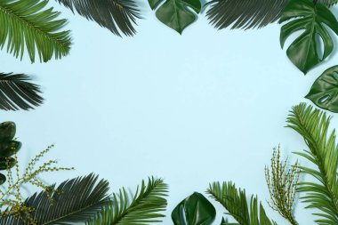 Açık mavi arkaplanda palmiye yaprakları çerçevesi