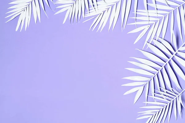 紫罗兰色背景下的白棕榈叶排列 — 图库照片