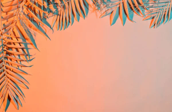 Samenstelling Van Pastelkleurige Palmbladeren — Stockfoto