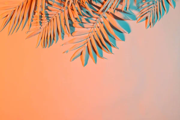 Samenstelling Van Pastelkleurige Palmbladeren — Stockfoto