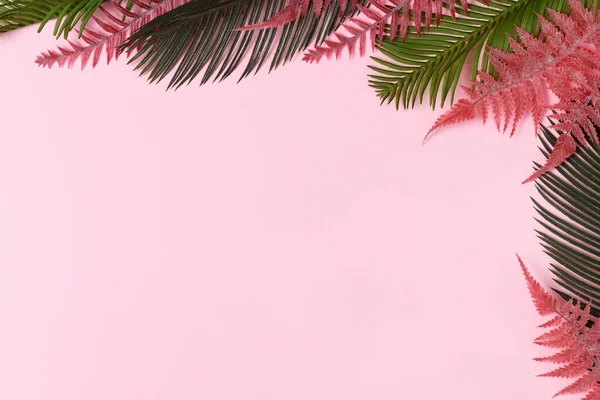 Rahmen Aus Tropischen Blättern Auf Rosa Hintergrund — Stockfoto