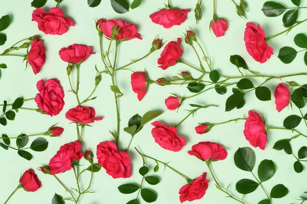 Σύνθεση Βυσσινί Τριαντάφυλλα Πράσινο Φόντο — Φωτογραφία Αρχείου