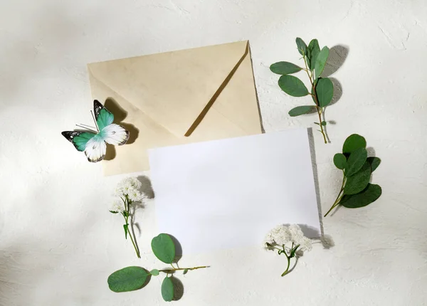 Bel Arrangement Carte Vide Enveloppe Papillon Feuilles Fleurs — Photo