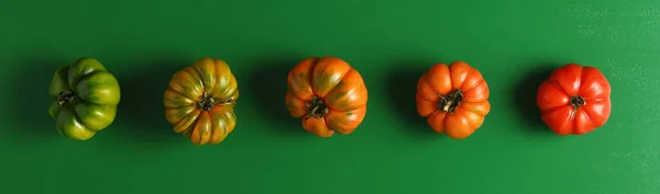 Från Grönt Till Rött Tomatkoncept — Stockfoto