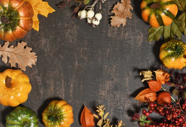 stock image Frame of multi colored pumpkins, autumnal leaves and berries