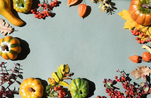Rahmen Aus Bunten Kürbissen Herbstlichen Blättern Und Beeren — Stockfoto