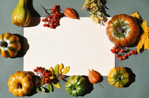 Béžová Karta Pestrobarevnými Dýněmi Podzimními Listy Bobulemi — Stock fotografie