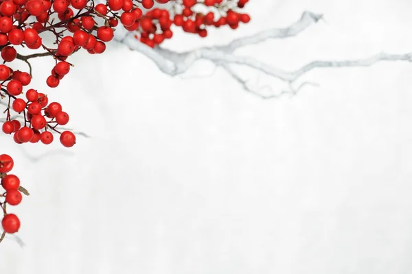 Winter background — Stock Photo, Image