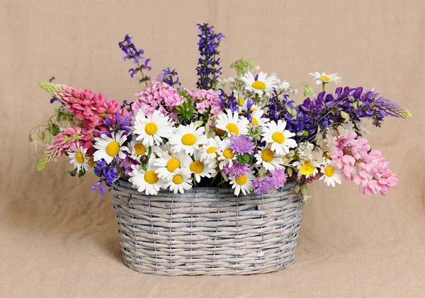 Košík s volně žijícími květinami — Stock fotografie