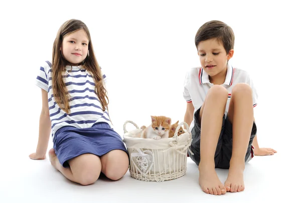 Children with kittens Royalty Free Stock Photos