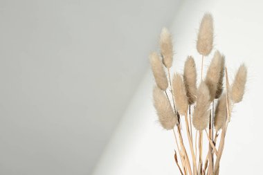 Kurumuş çimen bitkileriyle dolu bir arka plan. 2026 Bulut dansçısı yılının Pantone rengi