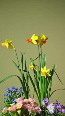 Bahar çiçekleriyle çiçek aranjmanı. Yavaş döndürme
