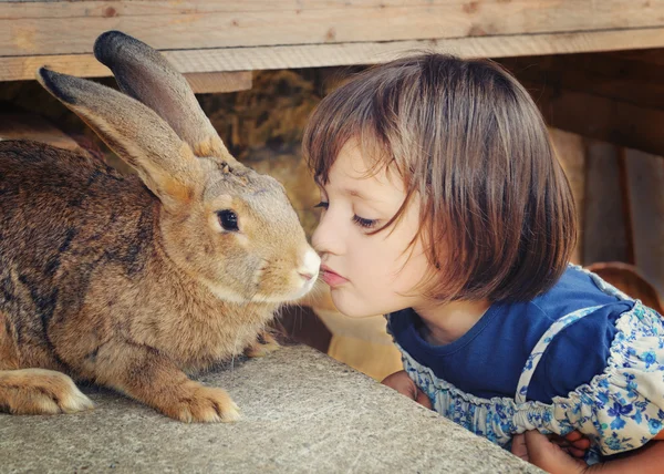 Kleines Mädchen mit braunem Kaninchen — Stockfoto