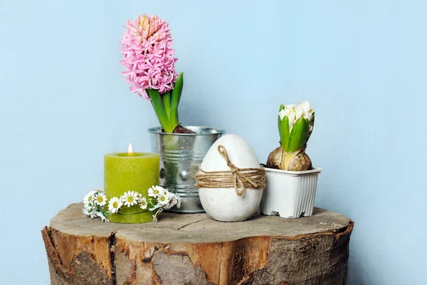 Spring still life — Stock Photo, Image