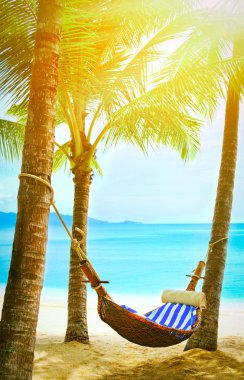 avuç içi ağaçlar arasında boş hamak