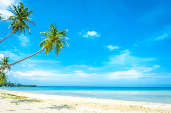 Piękna słoneczna plaża. Widok na ładną tropikalną plażę z palmami wokół. Koncepcja wakacji i wakacji — Zdjęcie stockowe