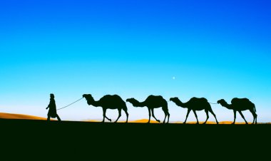 Sahara çöl üzerinde deve karavan