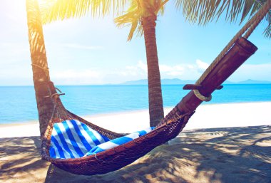 avuç içi ağaçlar arasında boş hamak