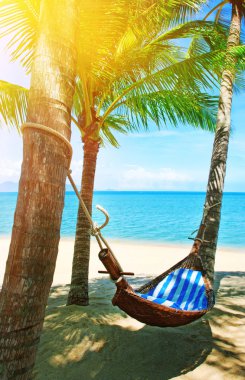 Kumsaldaki palmiye ağaçları arasında boş hamak.