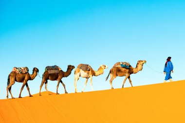 Sahra Çölü üzerinde deve karavan