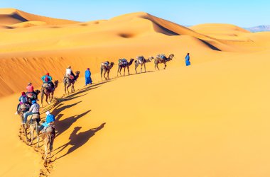 kameel caravan gaan door de duinen in de Saharawoestijn