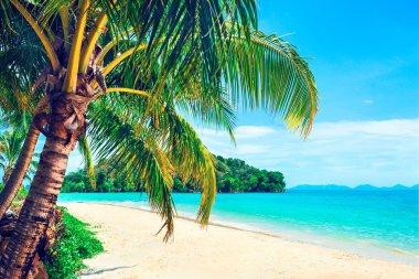 Güzel tropikal plaj avuç görünümünü