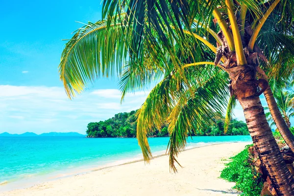 Vacker strand. Utsikt över fin tropisk strand med handflator runt. Semester och semester koncept. Tropisk strand. — Stockfoto