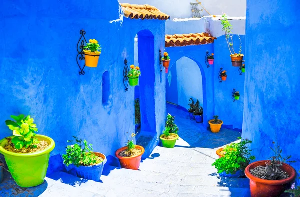 美丽的蓝色麦地那的舍市在摩洛哥，北非 — 图库照片