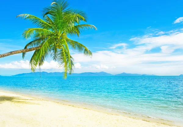Praia tropical na Tailândia - fundo de férias — Fotografia de Stock