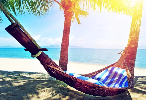 Empty hammock between palms trees at sandy beacha — Stock Photo, Image