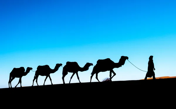 Caravana de camelo atravessando as dunas de areia no deserto do Saara , — Fotografia de Stock