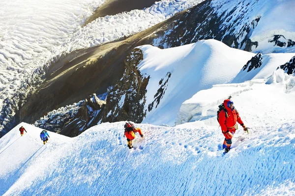 Группа альпинистов достигла вершины — стоковое фото