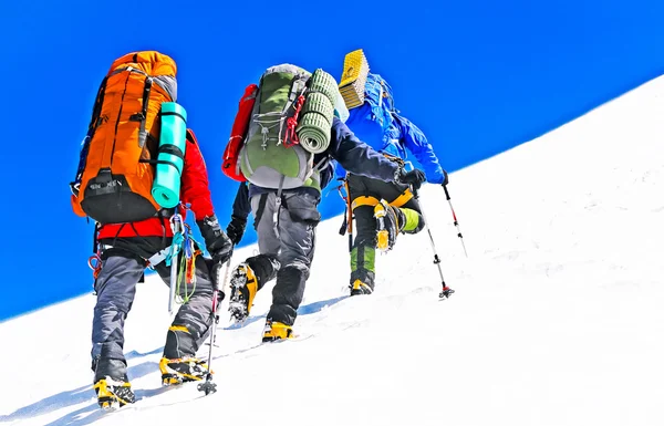 Grup dağcı zirveye ulaşan — Stok fotoğraf