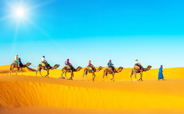 Caravana de camelo atravessando as dunas de areia no deserto do Saara — Fotografia de Stock