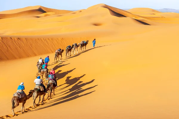 Kameel caravan gaan door de duinen in de Saharawoestijn — Stockfoto