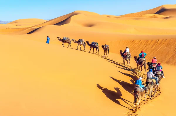 Caravana de camelo atravessando as dunas de areia no deserto do Saara — Fotografia de Stock