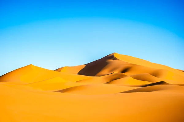 Mooie zandduinen in de Sahara woestijn — Stockfoto