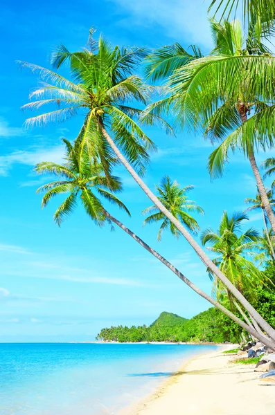 Tropical beach - vacation background Royalty Free Stock Photos