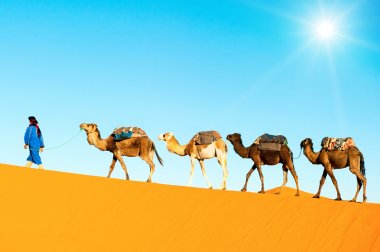 Sahra Çölü üzerinde deve karavan