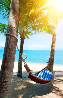Kumsaldaki palmiye ağaçları arasında boş hamak.