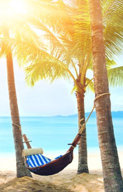 avuç içi ağaçlar arasında boş hamak