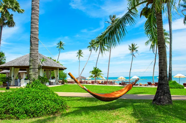 Empty hammock between palms trees at sandy beach — Stock Photo, Image